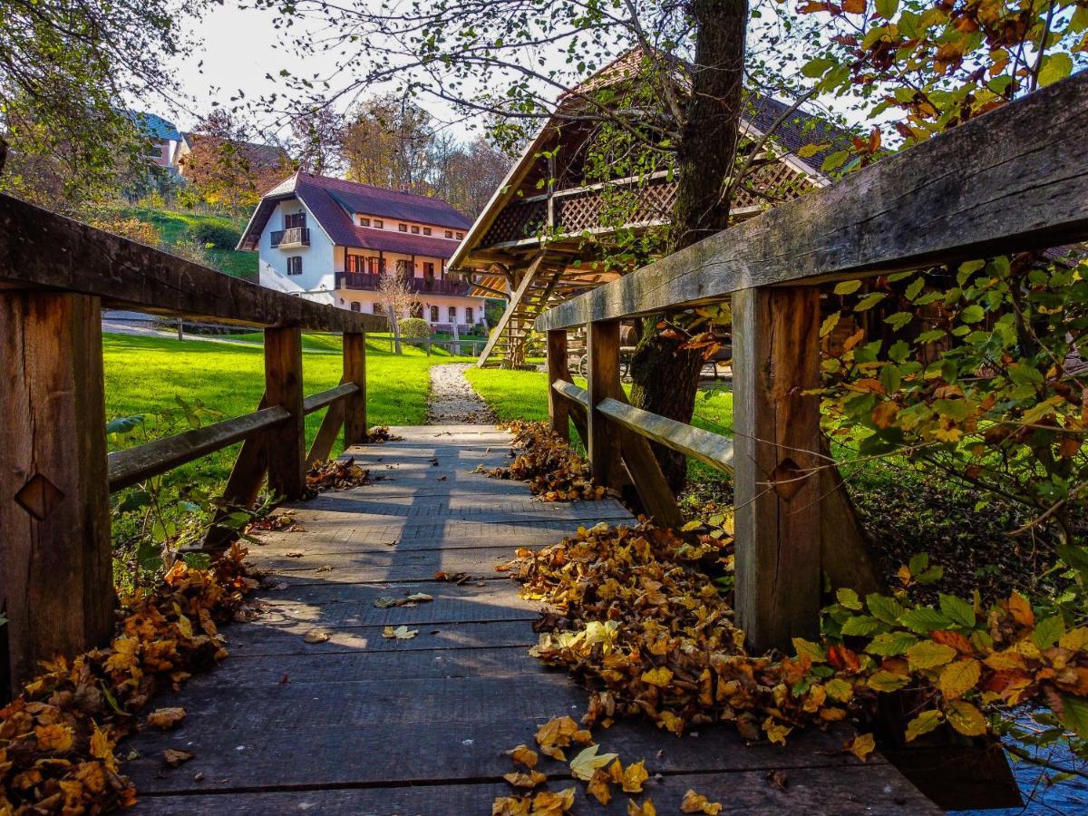 Domacija Seruga Vila Novo Mesto Exterior foto